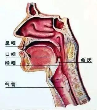 DƬ